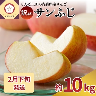 りんご約10kgサンふじ青森産