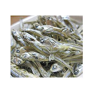 にぼし 食べる煮干し ５００g×１袋入 かたくちいわしの煮干 無添加 煮干し 粉・煮干だしとしてもok お試しの煮干 業務用 にも