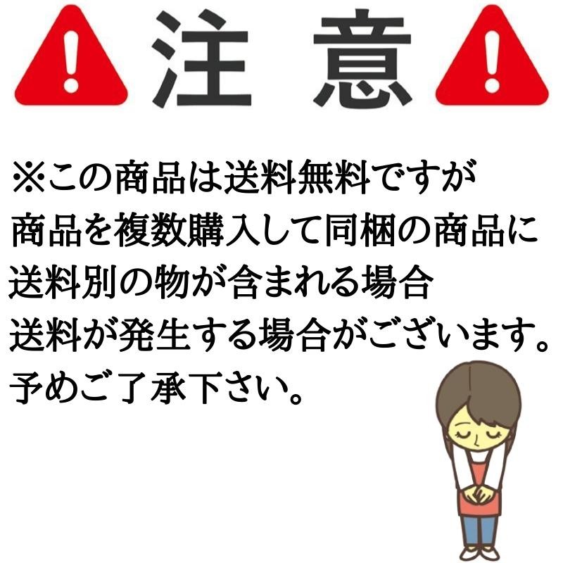 剣道 袴 送料無料(北海道・沖縄除く) 型崩れしにくい 内ヒダ縫製加工済