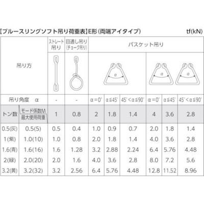 TESAC ブルースリングソフトE形(両端アイタイプ)荷重2t 全長3m(JIS規格