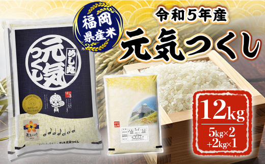 米 12kg 令和5年産 元気つくし 福岡県産 お米