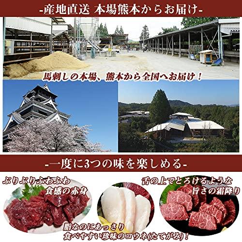 馬刺し 熊本 国産 コウネ(たてがみ) 赤身 霜降り 250g 3点セット 馬刺 馬肉 低カロリー 高タンパク