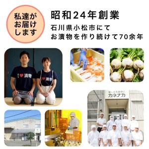 ふるさと納税 国産甘酢漬らっきょう 10袋 010170 石川県小松市