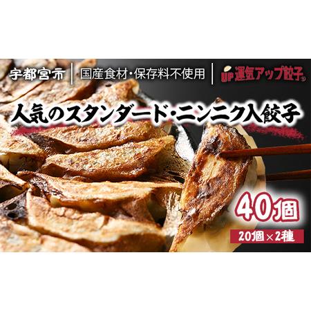 ふるさと納税 宇都宮餃子　　2種類味比べ(合計40個) 栃木県宇都宮市