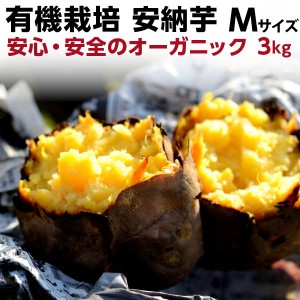 ポイント5倍 御歳暮 お歳暮 送料無料 さつまいも 有機 安納芋 安納いも あんのう芋 早割 蜜芋 五島列島 オーガニック Mサイズ A品 3kg Y