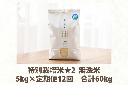 《定期便12回》特別栽培米 コシヒカリ 5kg × 12回 （計60kg） 無洗米 低農薬   福井県 あわら市 ブランド米 白米 お米 コメ 新米