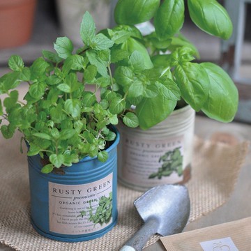 【福利品出清】RUSTY GREEN 復古鐵鏽栽培盆器 / 香草類 (三款)