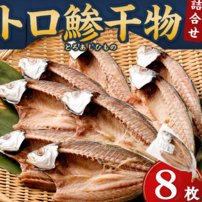 ふるさと納税 室戸市 トロ鯵(アジ)の干物セット(8枚)　あじ干物