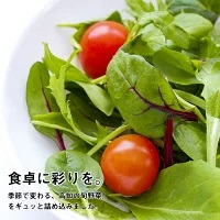 訳あり 定期便 旬な野菜のお楽しみ詰め合わせセット 産地直送 トマト 人参 タマネギ ブロッコリー ほうれん草 白菜 キャベツ レタス 大根 サツマイモ オクラ ししとう にんにく なす キャベツ 里芋 サツマイモ 高知県 須崎市