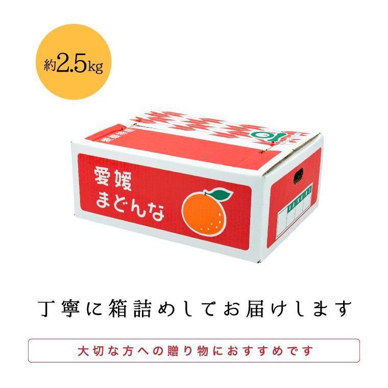 11月下旬〜12月上旬発送「贈答愛媛まどんな2.5」 愛媛まどんな約2.5kg