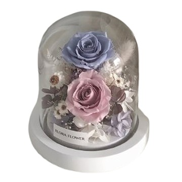 迷你永生花夜燈10直徑  霧粉