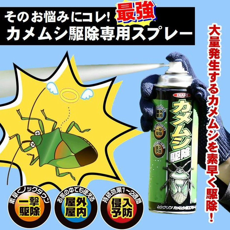 かめむしさん専用ページ 楽天市場】【訳あり販売：シュリンクなし 新品未使用品