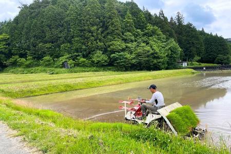 農薬・化学肥料不使用　オータニ農業の『コシヒカリ』精米10kg