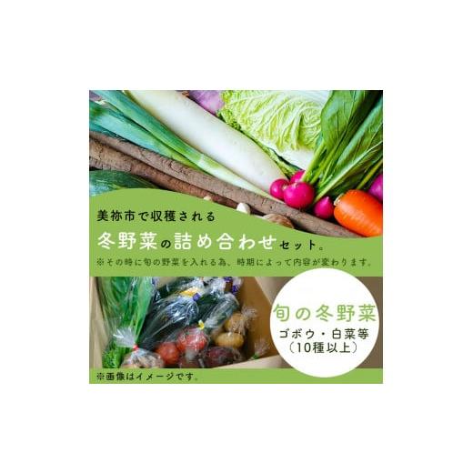 ふるさと納税 山口県 美祢市 美祢市産 冬野菜の詰め合わせセット