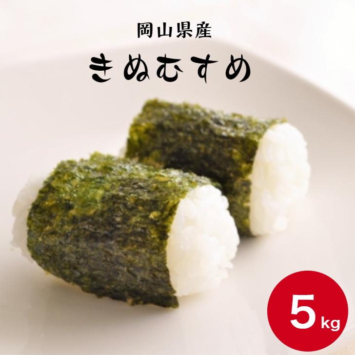 新米 令和5年産 岡山県産 きぬむすめ 5kg 1袋 白米 食品 国産 送料無料 ※北海道・沖縄の方は別途送料加算