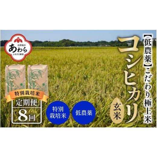 ふるさと納税 福井県 あわら市 《定期便》60kg×8回 480kg 田んぼ一反分 特別栽培米 コシヒカリ 玄米 低農薬 《食味値85点以上！こだわり極上玄…