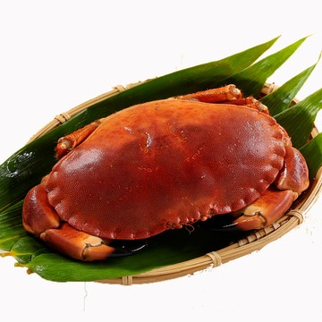 華得水產 英國野生爆卵麵包蟹2隻(600-680g/隻)
