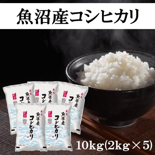 送料無料 令和５年産 魚沼産コシヒカリ 10kg(2kg×5袋) おこめ 精米 新潟