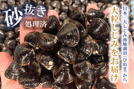 涸沼産 大粒 冷凍 シジミ 1.5kg 干物 3点セット （サバ ホッケ 目光） しじみ 蜆 大和しじみ ヤマトシジミ 大玉 砂抜き済 冷凍 味噌汁 スープ 魚貝類 貝 オルニチン コハク酸 サバ ホッケ 目光 小分け