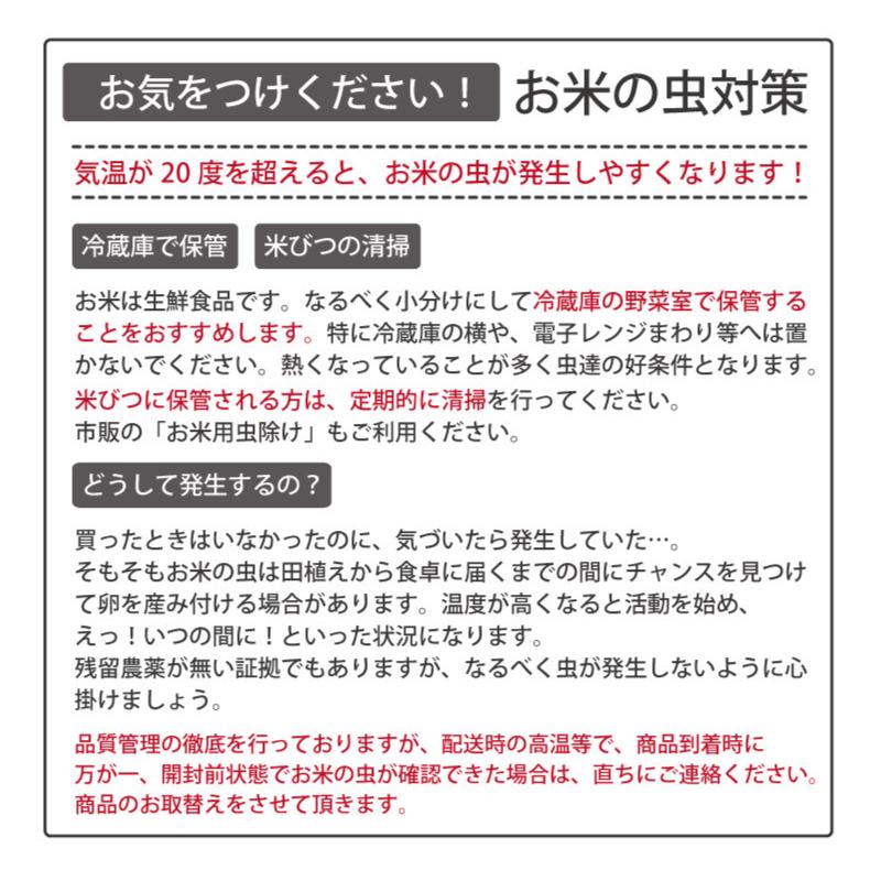 玄米 令和５年産 福井県産コシヒカリ20kg 単一原料米 栄養満点 お米 安い 10kg×2 送料無料