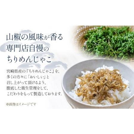 ふるさと納税 東野水産乃 ちりめん山椒（100g×2袋）ちりめん ちりめんじゃこ 宮崎県宮崎市