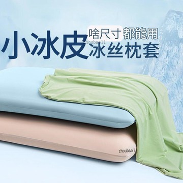 有貨在臺🚀99免運🚀夏季冰絲枕套涼感枕頭套一對裝2026新款冰皮單個萬能枕芯內膽套