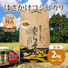 限定米令和5年産 新潟上越大島産 特A棚田はさがけ天日干し米コシヒカリ2kg(2kg×1)玄米