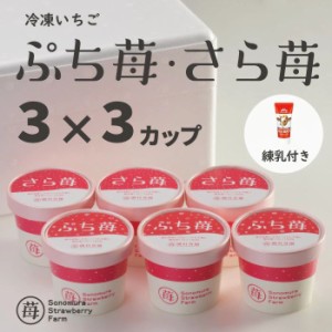 農家直送 ぷち苺＋さら苺 50g 3x3カップ 練乳付き 国産 冷凍いちご 熊本県産 さちのか ギフト 贈り物 無添加 砂糖不使用 化学物質不使用