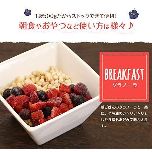  業務用 フルーツ VeryBerry 冷凍 ブルーベリー 500g ノースイ 冷凍フルーツ