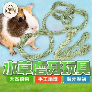 【磨牙潔齒👍】倉鼠磨牙棒 兔子磨牙玩具 編織草環 提摩西草 水草環 小寵玩具 天然水草磨牙玩具 黃金鼠 三線鼠天竺鼠龍貓