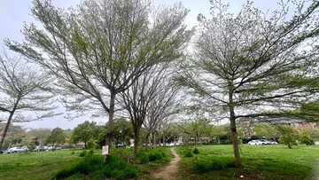 育達科大清幽舒適角間套房｜苗栗縣造橋鄉育英三街