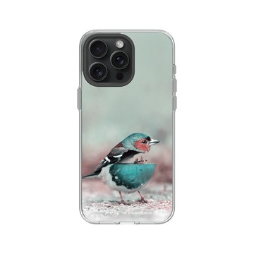 iPhone 15 Pro Max Clear 透明 - Julien Tabet - 水鳥