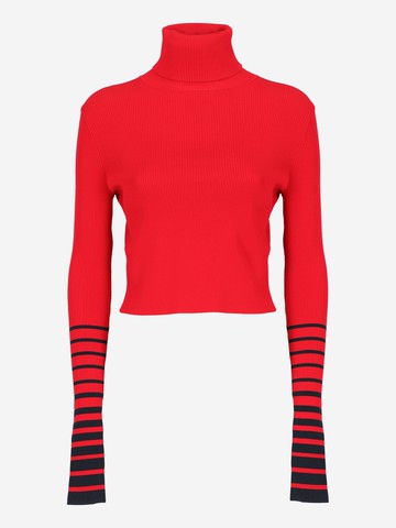 Tommy Hilfiger Turtleneck