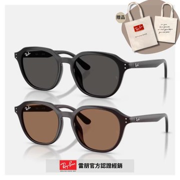 【RayBan 雷朋】圓形膠框太陽眼鏡(RB4459D-623173、901/87 54mm)