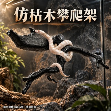 PJ小舖｜枯木攀爬架 攀爬架 自然造景 樹棲爬蟲 木頭攀爬架 吸盤固定