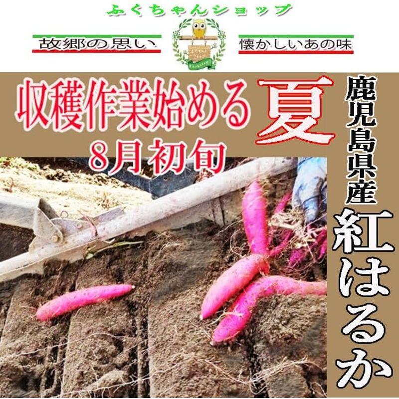 鹿児島県産 紅はるか サイズＳ 10kg