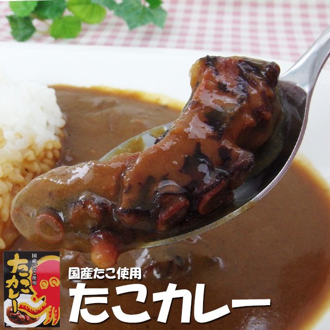 たこカレー 中辛 220g