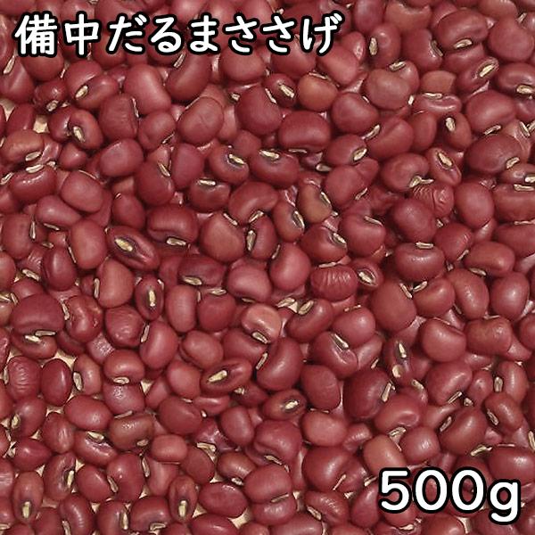 備中だるまささげ (500g) 令和5年 岡山県産 