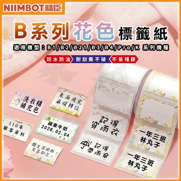 《台灣代理商公司貨》B21S/B21/B21Pro/B1/B3S/B31 彩色貼紙P1 營養標示 精臣 姓名貼 防水貼紙
