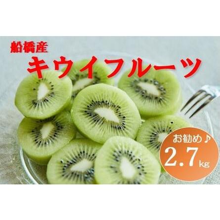 ふるさと納税 船橋産未追熟バラ詰めキウイフルーツ2.7kgを入れて、約2.8kg （2 1〜2 15発送）まるり(E12) 千葉県船橋市