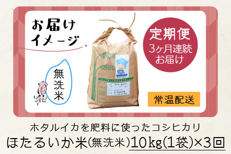 ほたるいか米（無洗米10kg）×3回 計30kg