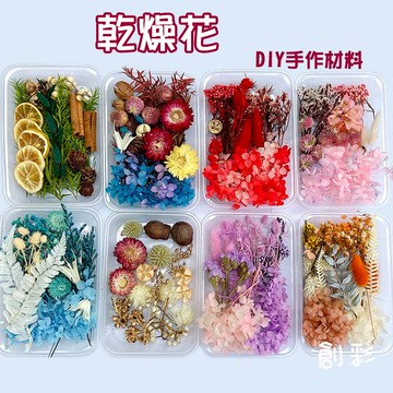 創彩  DIY 天然乾燥花 植物果實 繽紛 拍照道具 花材 花藝材料包 浮游花 永生花 浮油花 乾花