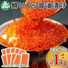 鱒いくら醤油漬け 約100g×10個 計1kg 北海道 弟子屈町 1382