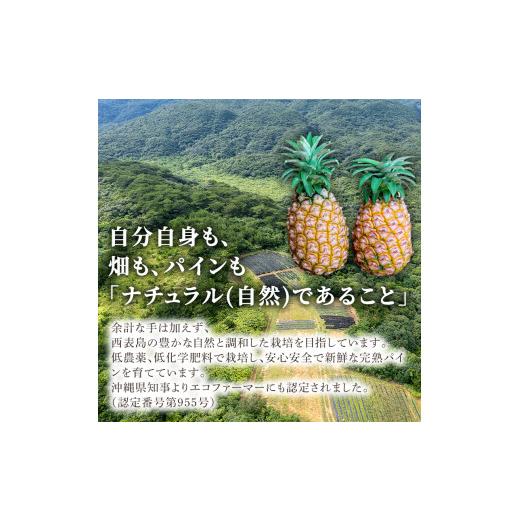 ふるさと納税 沖縄県 竹富町 2024年 先行予約 完熟 パインアップル 約3kg 水鴨農園 パイン パイナップル 果物 フルーツ