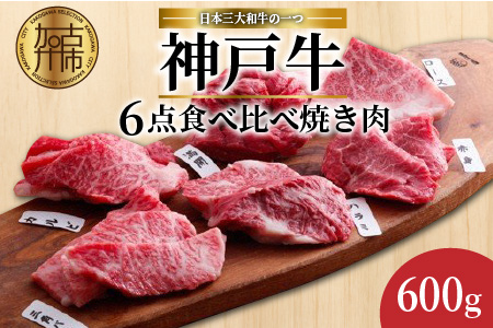 自社牧場直送神戸牛6点食べ比べ焼肉(600g)《 国産 自社牧場直送 肉のヒライ 焼肉 食べ比べ 牛肉 霜降り ロース ハラミ 三角バラ カルビ お楽しみ セット 詰め合わせ 》