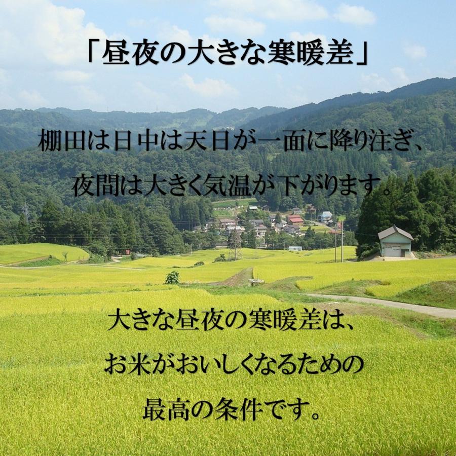 新米 米 お米 10kg コシヒカリ こしひかり 新潟 上越産 棚田米 5kg×2袋 本州送料無料 令和5年産