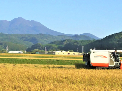 青森県鰺ヶ沢町産令和5年産 つがるロマン 白米 15kg（15kg×1袋）