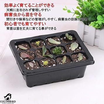 COLORBIRD 種まきポット 12穴 3セット 花 苗 ハーブ 植木鉢 おしゃれ 園芸用品 種まき 種 ブラック