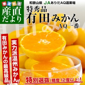 和歌山県より産地直送 JAありだ 有田みかん 糖度12度以上 特秀品「AQ一番」 LからMサイズ 5キロ(40玉から50玉) 送料無料 蜜柑 ミカン お