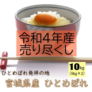  米 10kg 送料無料 宮城県 登米産 ひとめぼれ 無洗米 10kg (5kg×2) デザインポリ袋仕様